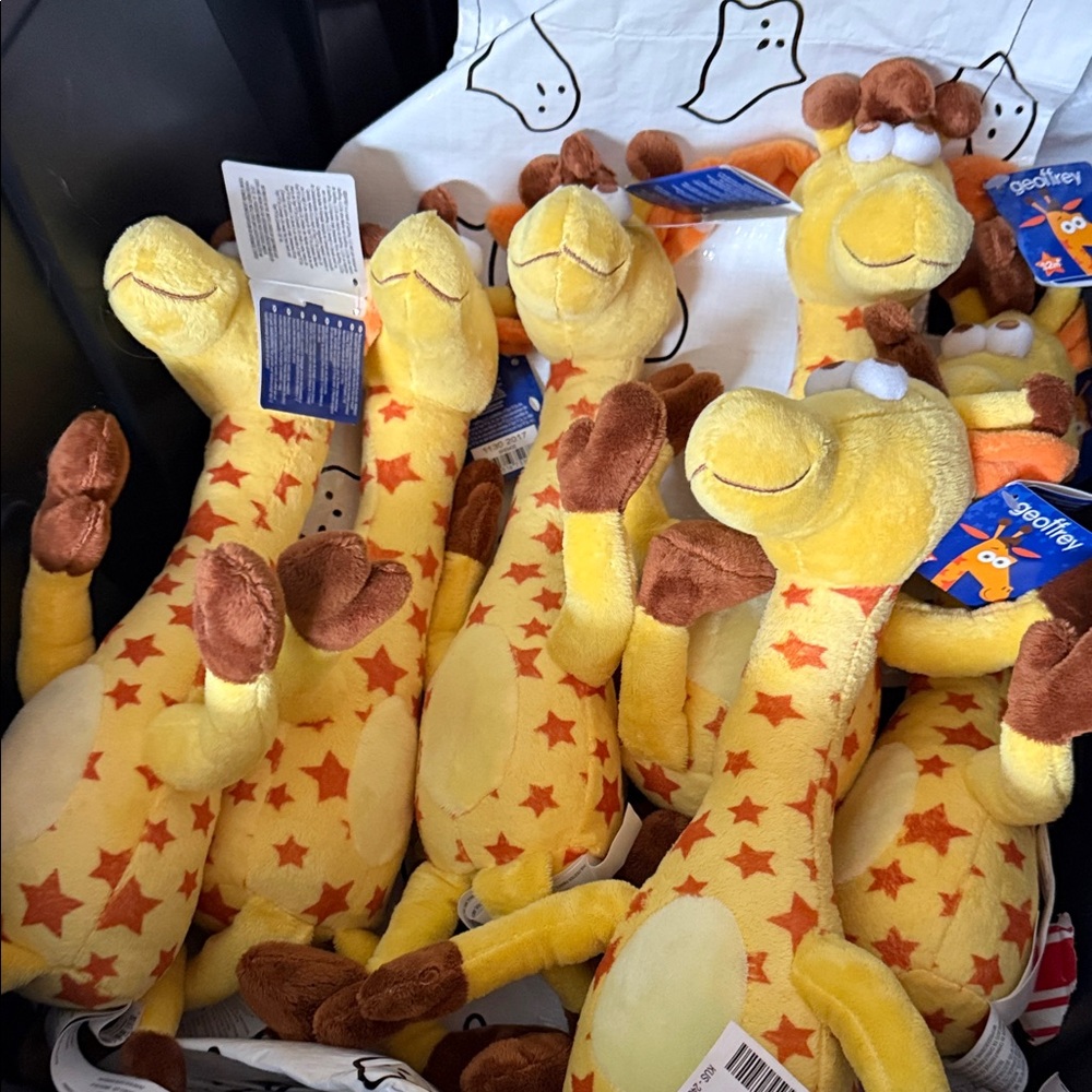 Toys R Us Geoffrey Plush W/tag - new